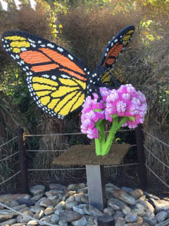 This butterfly on display at the botanical gardens of Asheville, N.C. is constructed out of 60,549 Legos.